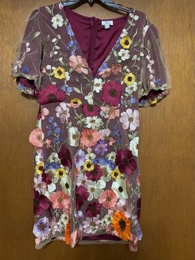 Pink Diamond Embroidered Floral Mesh Mini Dress in Wine